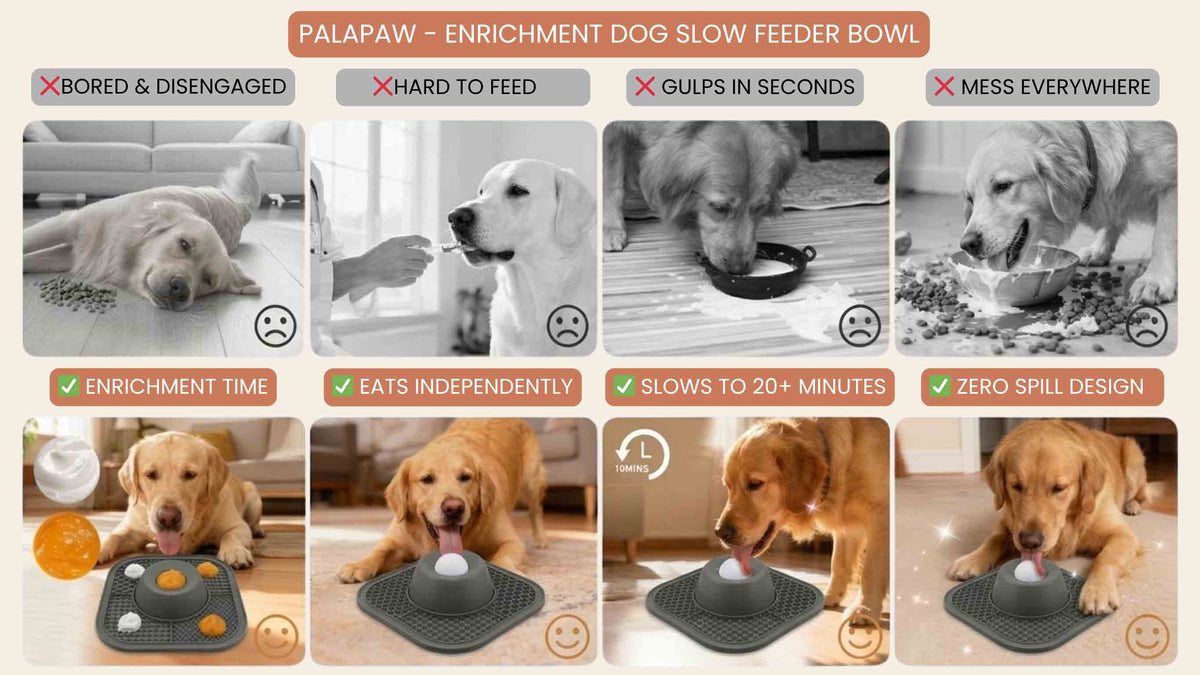 Dog slow feeder bowl with features and benefits highlighted